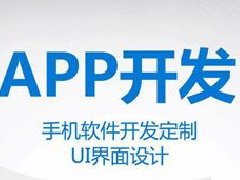 B2B手机APP开发教程